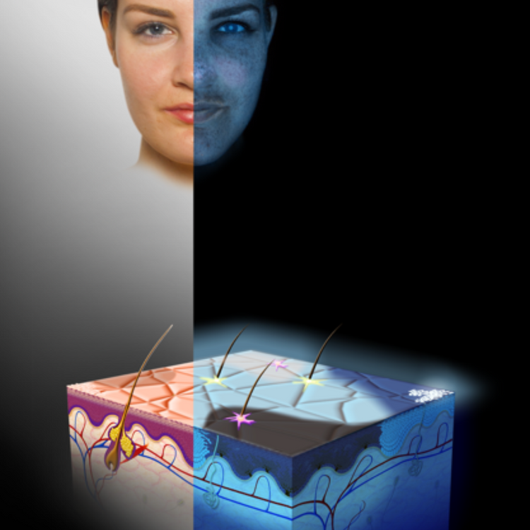 Skin Consultation and LED (75mins) $60 redeemable on products